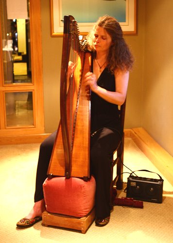 mill-end-hotel-food-review-harpist.jpg