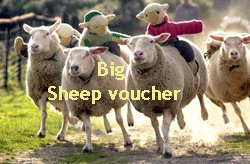 discount-voucher-big-sheep.jpg