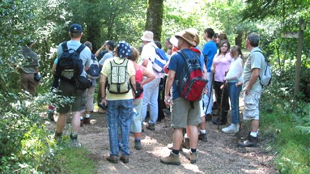 guided-walk-on-dartmoor.jpg