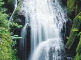 Canonteign Falls