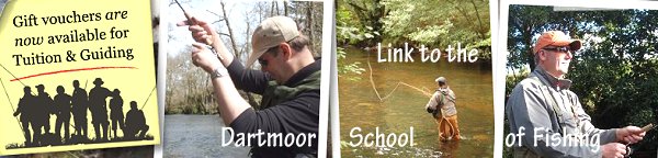 dartmoor-school-of-fishing.jpg