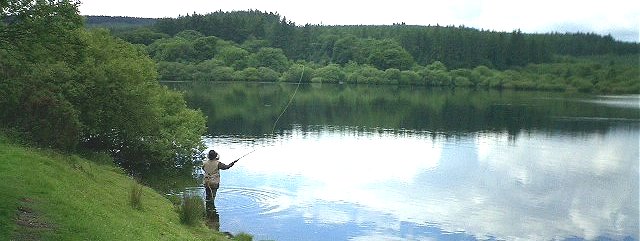 fishing_at_fernworth.jpg