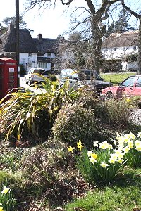 north-bovey-village-green.jpg