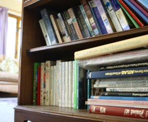 ash-tree-cottage-bookcase.jpg