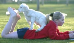 Pennywell Farm & Wildlife Centre