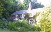 Mount Tavy Cottage