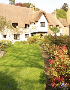 lustleigh-thatch.jpg