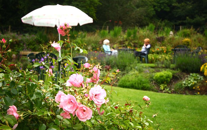 south-heathercombe-garden-umbrella.jpg