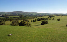 Tavistock Golf Course