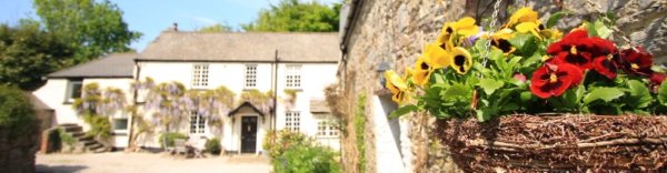 bed-and-breakfast-hanging-baskets.jpg