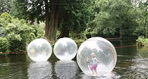 The River Dart Country Park