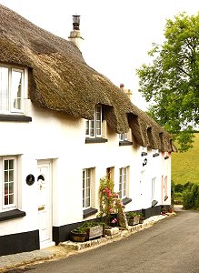 ilsington-cottages.jpg