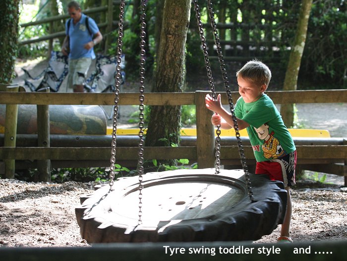 visit-river-dart-country-park-tyre-swing.jpg