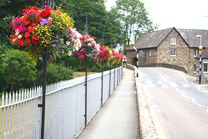 bovey-tracey-hanging-baskets.jpg