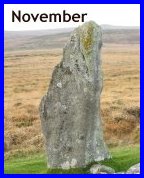 november-whats-on-events-devon.jpg