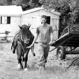 Ed brings Sampson out to plough