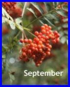 september-whats-on-events-devon.jpg