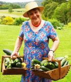 One or two courgettes